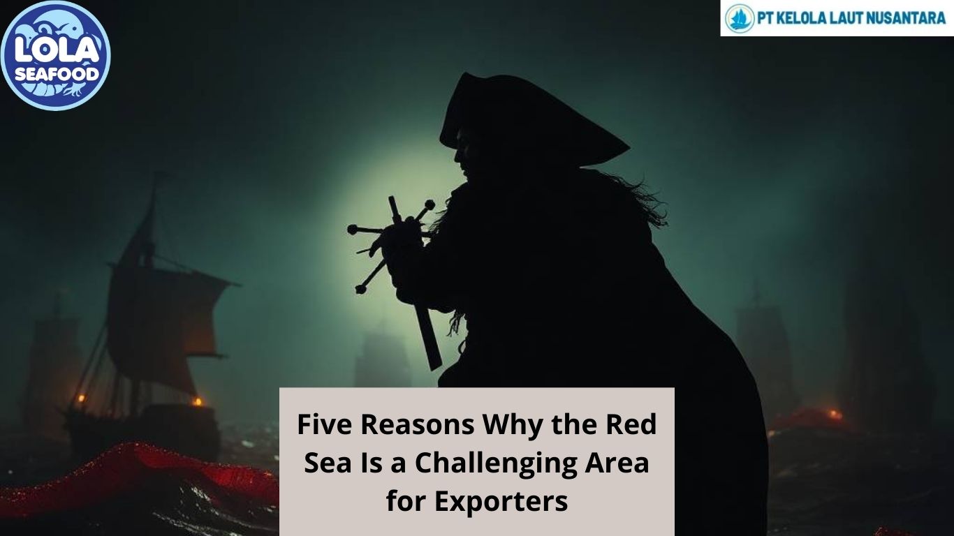 Five Reasons Why the Red Sea Is a Challenging Area for Exporters